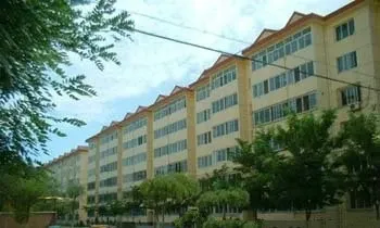 轻松出行老年人的旅游新选择：轮椅自推车的科学与便利