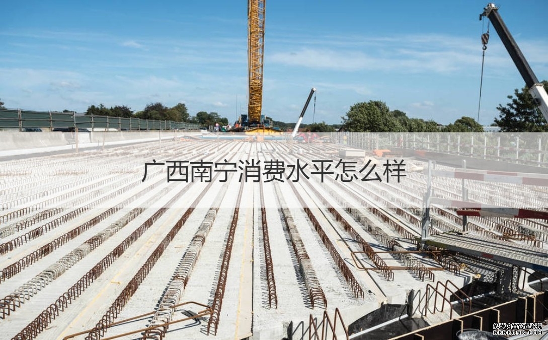 南宁邕宁区那楼街开圩307周年民俗文化庙会上演